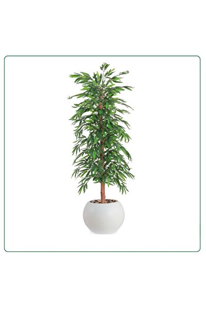 SADANHOME Bamboo leaf tree, plastic pot - 155cm