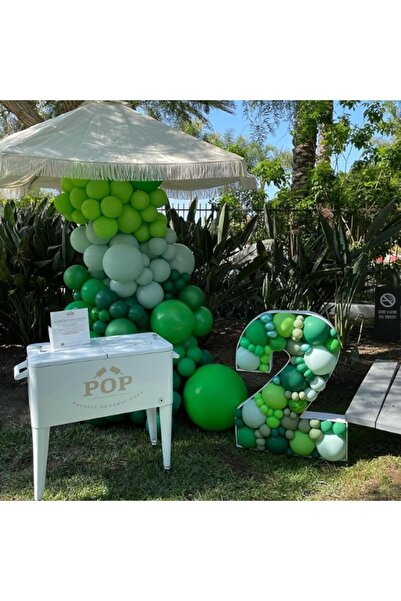 Flippy Set of 12 Standard Latex Balloons, 25 cm, Dark Green