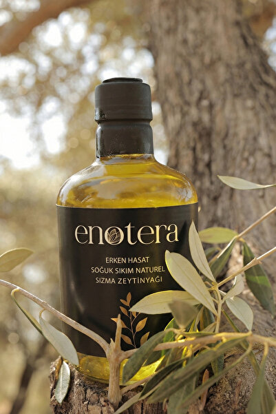 ENOTERA COMPANY Erken Hasat Soğuk Sıkım Naturel Sızma Zeytinyağ