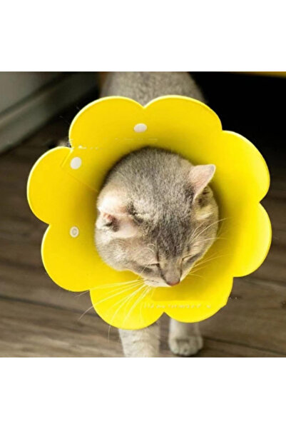 BSRE طوق للقطط والكلاب - مقاس M