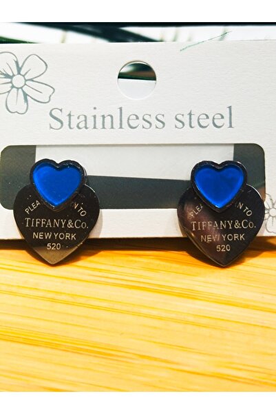 Monalisa Home Steel Figured Luxury Earrings