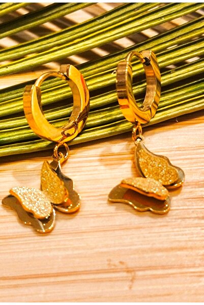 Monalisa Home Steel Stone Gold Color Earrings