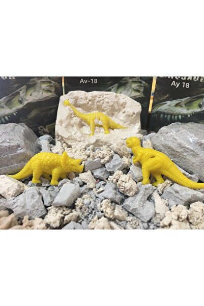 AZİZ OYUNCAK مجموعة أدوات المشروع العلمي المكونة من 4 قطع. سلسلة أنواع الدينا...