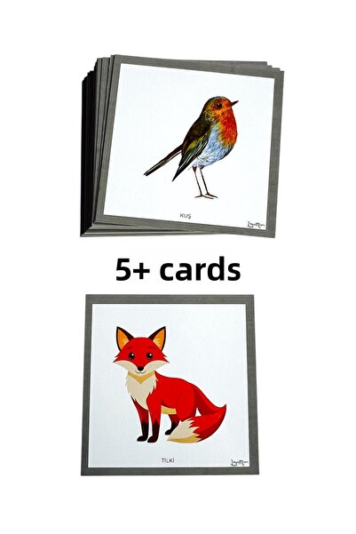 Loyameri Kidsshop Animal Cards, Preschool, Special Education Activity Cards
