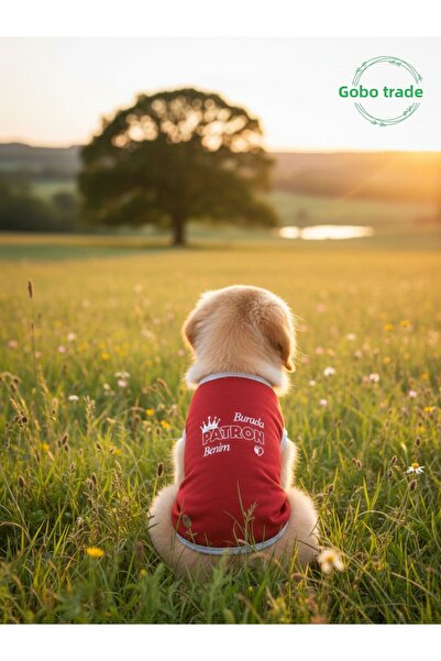 Gobo Here I Am, the Boss. I'M Wearing a Red Cat and Dog Outfit with the Text Written on It, Size Small/S/Size 1.