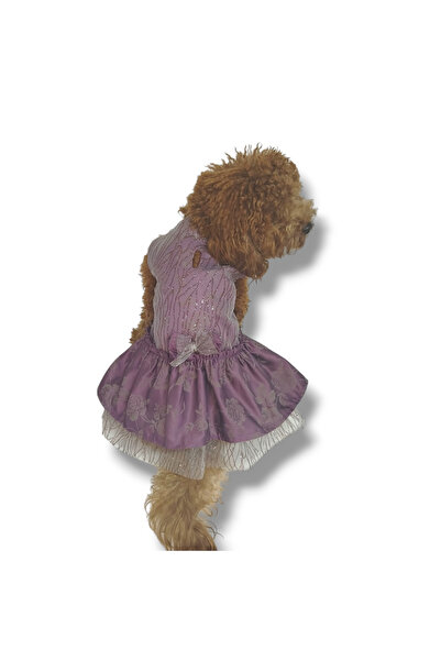 STE Abiye Dişi Köpek Elbisesi – Kurdele ve Tül Detaylı – Tasma İçin Özel İlik...