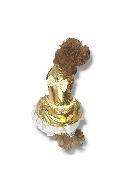 STE Dişi Köpek Elbisesi – Dore Tüllü – Şık ve Rahat