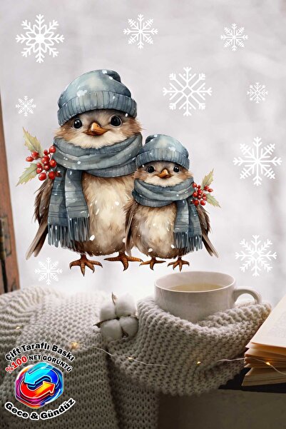 Sticker Ekspres Cute New Year's Winter Birds and Snowflakes Sticker Set, Double-Sided New Year's Glass Sticker