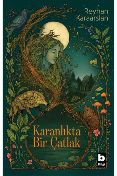 Bilgi Yayınevi Karanlıkta Bir Çatlak / Reyhan Karaarslan / / 9789752215177