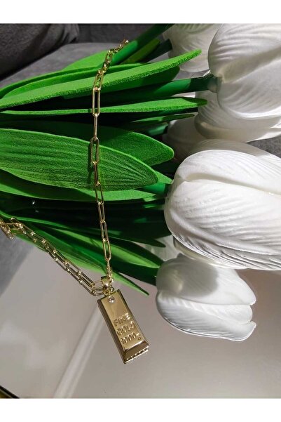 ShineByMe Vıp Kolye 14K Gold Ataç Zincirli Külçe Altın Uçlu Çelik Kolye (60cm...