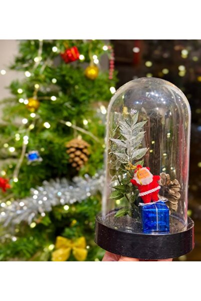 Genel Markalar Noel baba Terrarium + mini kokina buketi / Yeni Yıl hediyesi