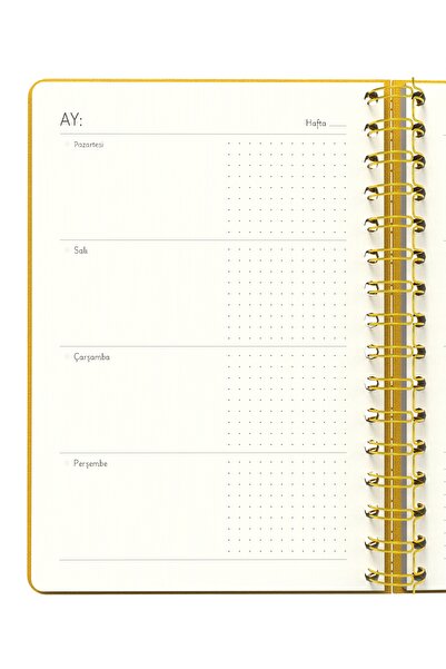 Meli Melek Melimelek Planner Mustard (Paperback) - Ceyda Düvenci