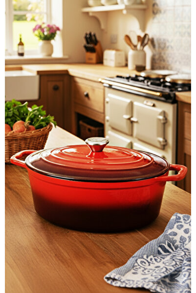 Carl Schmidt Sohn Enameled cast iron pot with lid, 7.7L – Carl Schmidt Sohn 075248, oven/induction, 36x27.8 cm