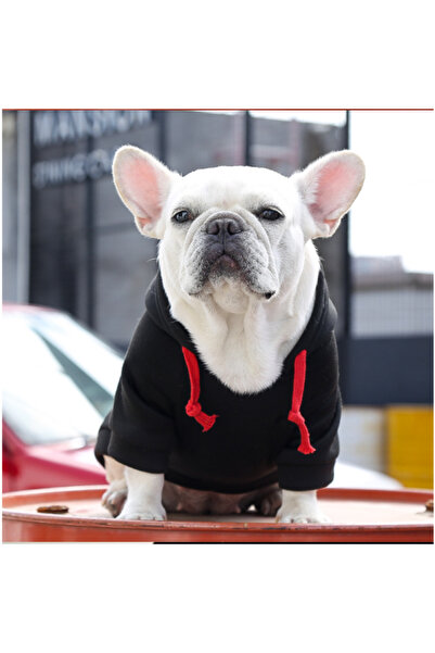 ADLUMUS Black hoodie for small and medium sized dogs, Dog Paw Print in black and red plaid, L