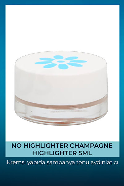 The Organic Pharmacy No Skin Perfecting Highlighter - Aydınlatıcı Champagne/ ...