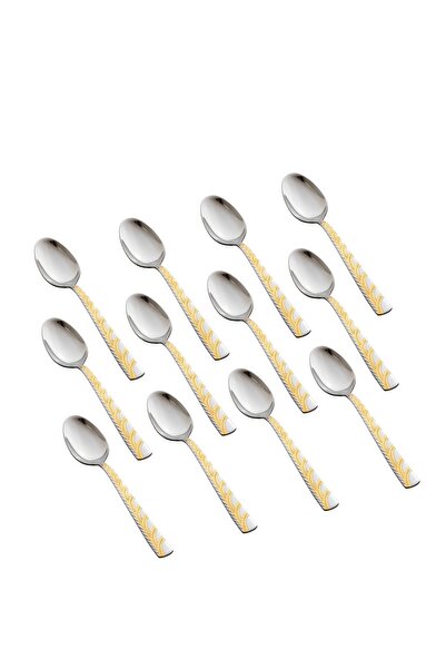 HIC 12-Piece Stainless Steel Dinner Spoon Set