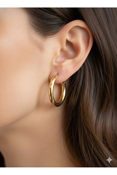 staınless steel Steel Hook Earrings (Gold)