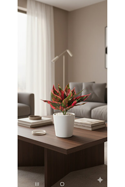 yapay çiçek evi 27 Cm Kırmızı Yeşil Kılıç Çiçeği Ev Dekor