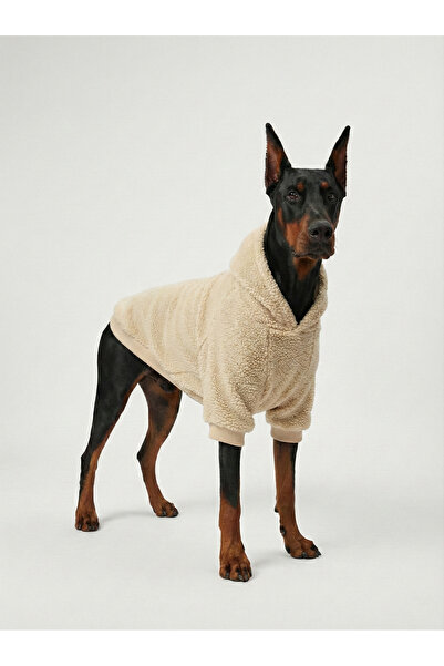 NobleDog هودي تيدي بلش للكلاب بلون كريمي - سويت شيرت شتوي ناعم كالقطن بغطاء رأس