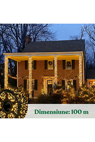 PORKY Instalatie Craciun 100m, LED Alb Cald, Fir Negru, 8 Jocuri, IP44