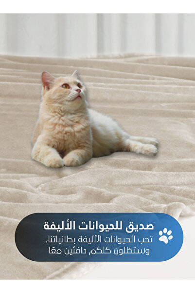 Master Home Textile Lightweight Velvet Blanket, 350GSM, 260x240cm King Size, Soft All Season Flannel for Bed & Sofa