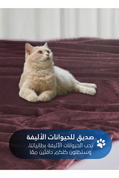 Master Home Textile Lightweight Velvet Blanket, 350GSM, 260x240cm King Size, Soft All Season Flannel for Bed & Sofa