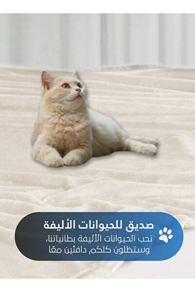 Master Home Textile Lightweight Velvet Blanket, 350GSM, 260x240cm King Size, Soft All Season Flannel for Bed & Sofa