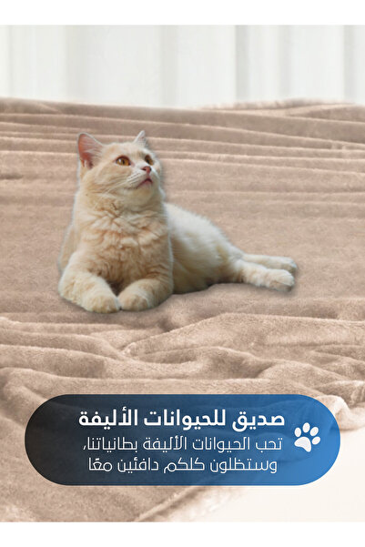 Master Home Textile Lightweight Velvet Blanket, 350GSM, 260x240cm King Size, Soft All Season Flannel for Bed & Sofa