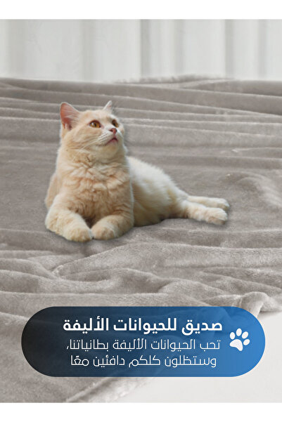 Master Home Textile Lightweight Velvet Blanket, 350GSM, 260x240cm King Size, Soft All Season Flannel for Bed & Sofa