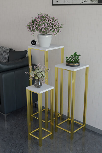 alpaevmobilya Modern 3'lü Metal Ayaklı Saksılık Dekoratif Çiçeklik Çok Amaçlı...