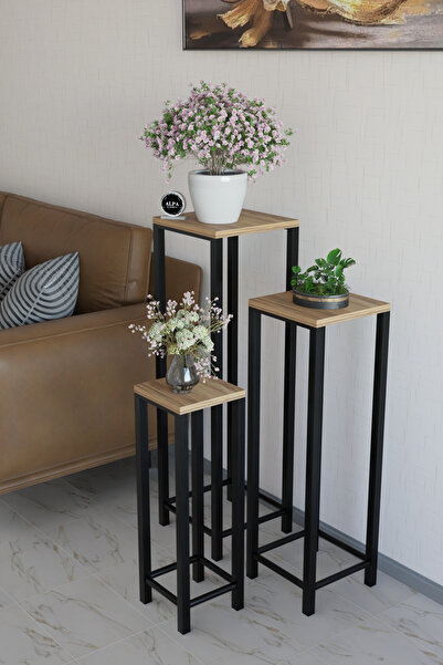 alpaevmobilya Modern 3'lü Metal Ayaklı Saksı Standı Dekoratif Saksılık Çok Am...