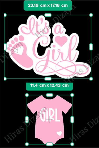 Hiras Dizayn 11 Pieces Baby Shower Party String Banner Boy or Girl Blue/Pink Baby Shower Decorations