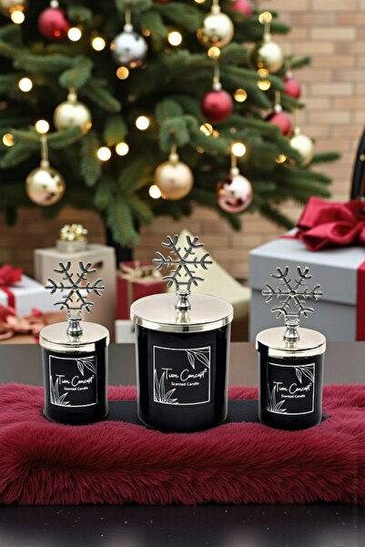 Tiem Concept Yılbaşına Özel Hediyelik Gümüş Kartaneli Vanilya Kokulu 3'lü Siy...