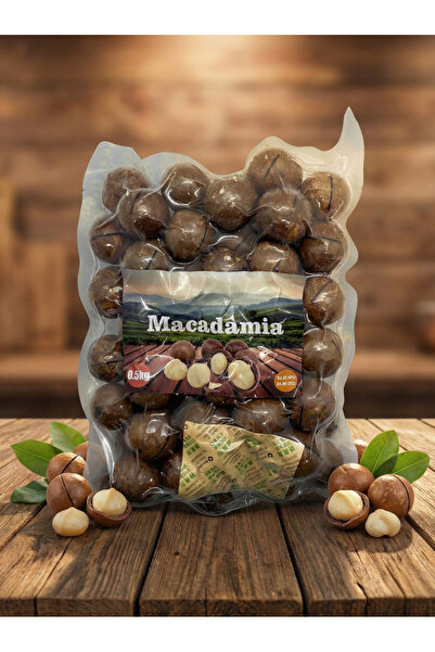 KÖKNAR MAKADEMYA FINDIĞI 500G (AÇACAK APARATI DAHİL)