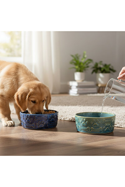 2’Li Porselen Kedi Köpek Mama Kabı ve Su Kabı Evcil Hayvanlar İçin