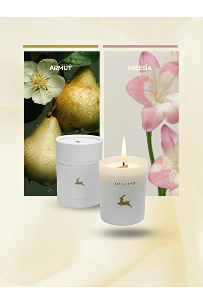 MUSCENT English Pear Freesia Mum