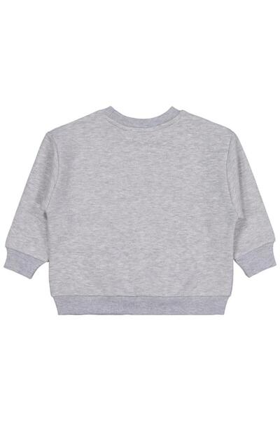 Civil Boys Skater Printed 2-5 Years Old Sweatshirt - Gray 2-3 Years Old