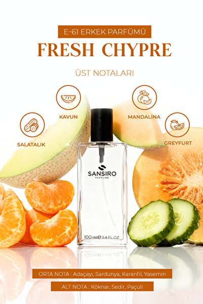 Sansiro E-61 Erkek Parfüm 100ml Edp