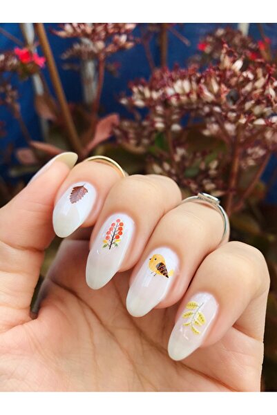 Artikel Kuşlar -1 Tırnak Dövmesi, Tırnak Tattoo, Nail Art, Tırnak Sticker