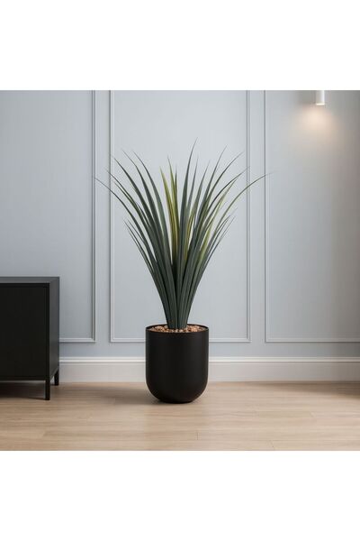 co arma Cactus tree in a plastic pot - 70 cm in a round plastic container