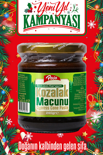 Paşa Kuruyemiş Kozalak Macunu 240 gr