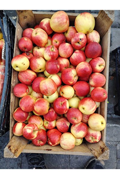 CANLAR Erzincan sakı elması, Yağlı elma, Mayhoş elma, Ekşi elma 3 kg