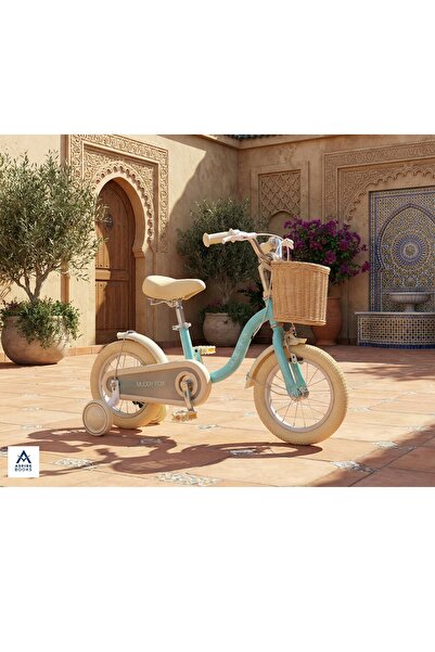 Aspire Books Kids’ bicycle for ages 2–5 with adjustable height, storage basket, and stabilizer wheels - Sky blue