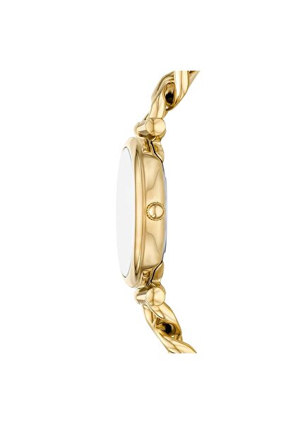 Fossil Fes5416 Women's Wristwatch