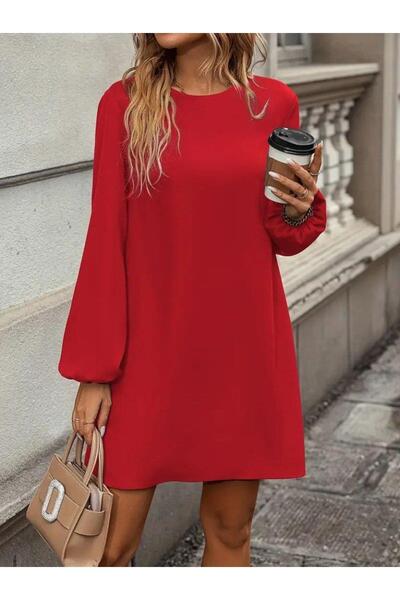Generic Brand Women's Long Sleeve Round Neck Mini Imported Crepe Dress