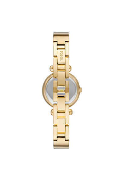 Fossil FBQ3895 Women's Wristwatch