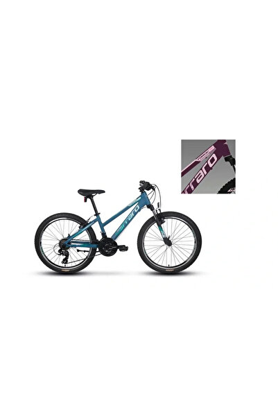 Carraro FORCE 401 KADIN DAĞ BİSİKLETİ 325H V 24 JANT 21 VİTES MAT MÜRDÜM PEMBE