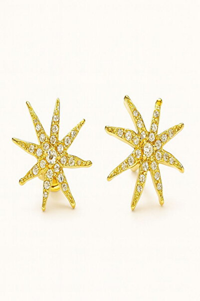 DEMOKAN أقراط نسائية حلق نجم البحر الصغير بحجر الزركون الكامل