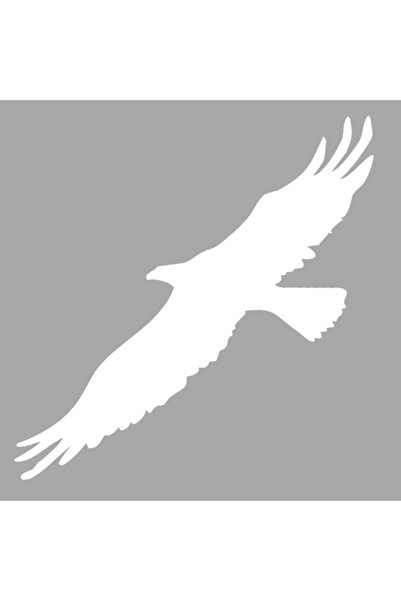 Artikel İkon Kartal Stencil Boyama şablonu 30x30 cm, Duvar Stencil, Fayans St...
