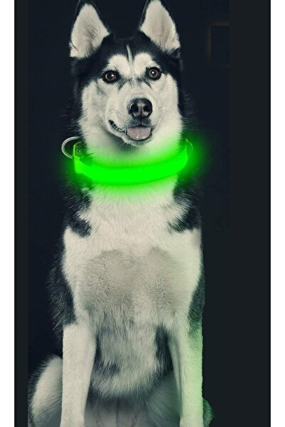 SSMEDIA Ρυθμιζόμενο κολάρο LED για κατοικίδια με φόρτιση USB - Πράσινο